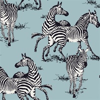 Playful Zebras Wallpaper