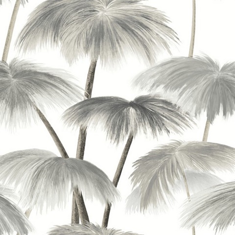 Plein Air Palms Black & White Wallpaper