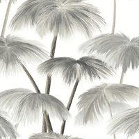 Plein Air Palms Black & White Wallpaper