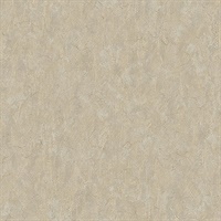 Pliny Off-White Distressed Texture Wallpaper