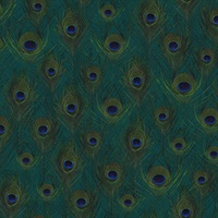 Plumage Sapphire Peacock Feathers Wallpaper