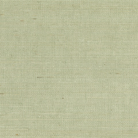 Popun Light Green Grasscloth Wallpaper