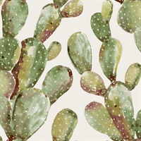 Prickly Pear Cactus P & S Wallpaper
