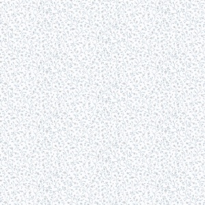 Rainbow Mini Wallpaper