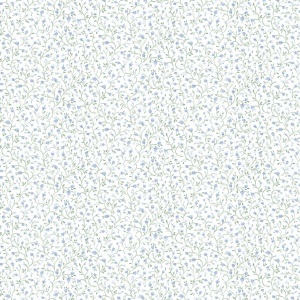 Rainbow Mini Wallpaper