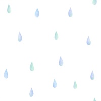 Raindrops