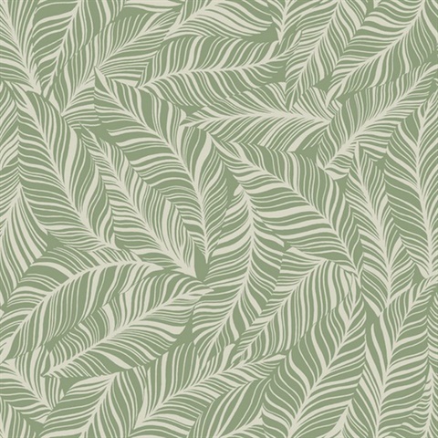 Rainforest Canopy Wallpaper