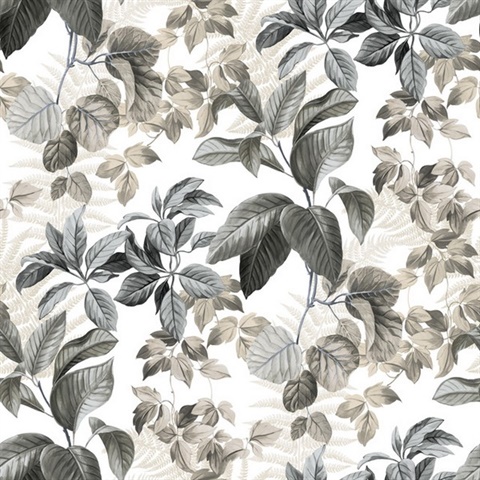 Rainforest Leaves P & S Wallpaper