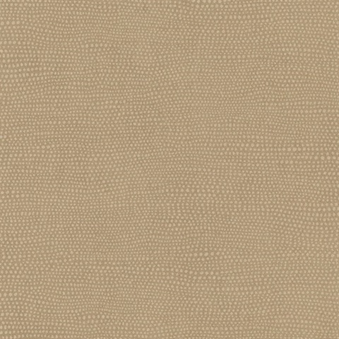 Raised Dots Wallpaper - Brown