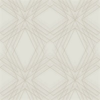 Relativity Grey Geometric Wallpaper