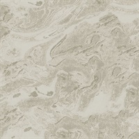 Reyne Taupe Marble  Wallpaper