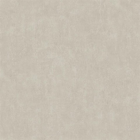 Riomar Taupe Distressed Texture Wallpaper
