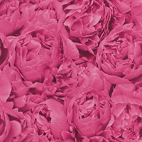 Rosenfield Pink Floral Wallpaper