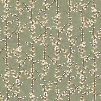 Sakura Row Spring Blossom Wallpaper