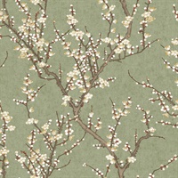 Sakura Tree Spring Blossom Wallpaper