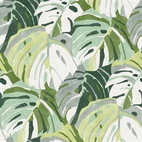 Samara Green Monstera Leaf Wallpaper
