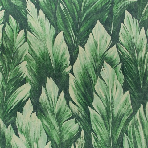 Samoa Wallpaper