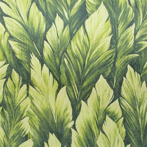Samoa Wallpaper