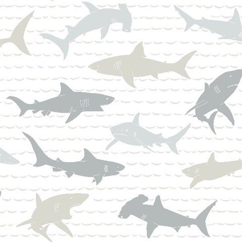 Shark CharadesWallpaper