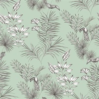 Shelly  Mint Toucan Toile Wallpaper