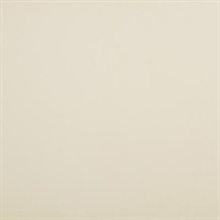 Simplex Lining 2 Paintable