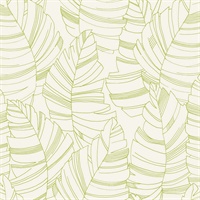 Sketched Palms