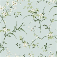 Spa Blue Blossom Branches Wallpaper