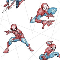 Spider-Man Fracture Wallpaper