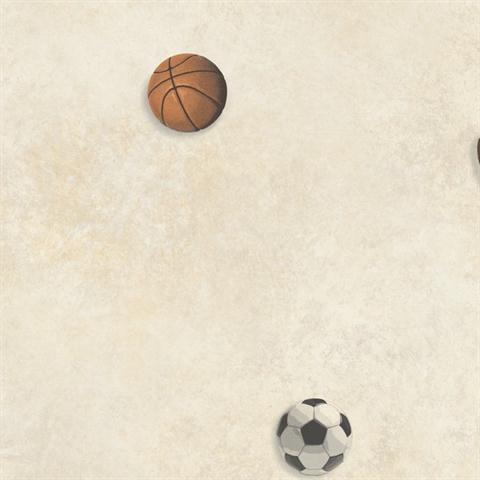 Sports Balls