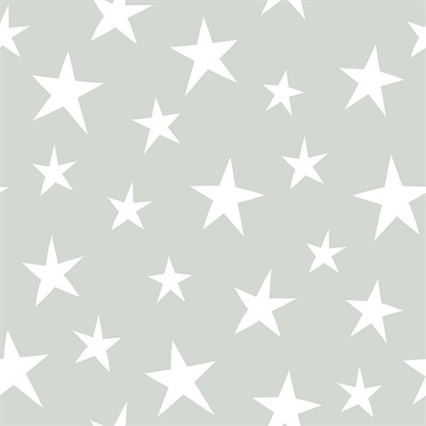 Stardust Grey Peel & Stick Wallpaper