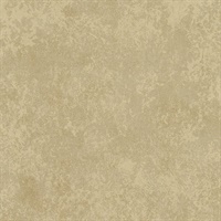 Stucco Wallpaper - Brown