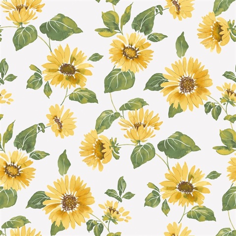 Sunflower Trail Wallpaper