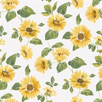 Sunflower Trail Wallpaper