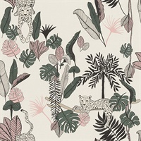 Tadoba Pink Jaguar Grove Wallpaper