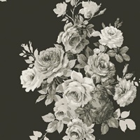 Tea Rose Wallpaper