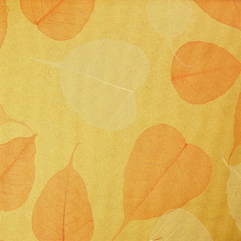 Textured Leaves
