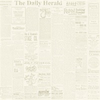 The Daily Removable Wallpaper