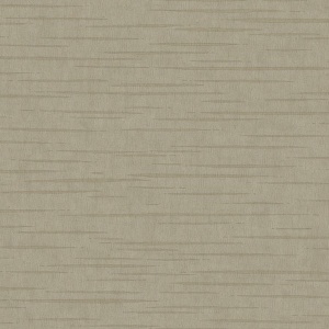 Tiger's Eye Wallpaper