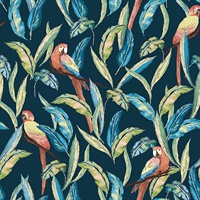 Timor Indigo Tropical Parrot Wallpaper
