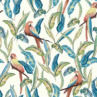 Timor White Tropical Parrot Wallpaper