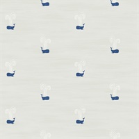 Tiny Whales