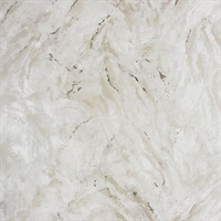 Titania Taupe Marble Texture Wallpaper