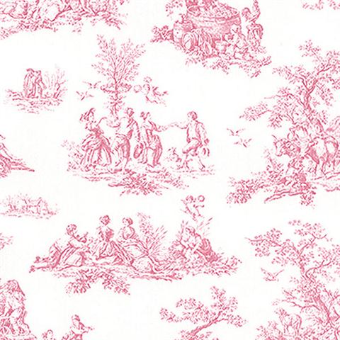 Country Toile