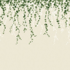 Trailing Ivy Brown Wall Mural
