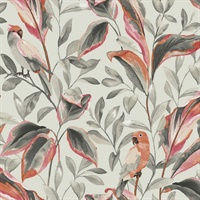 Tropical Love Birds Wallpaper