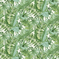 Tropical Palm Leaf Green Wall Mural