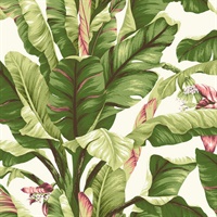 Tropics Banana Leaf Wallpaper
