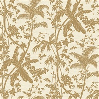 Tropics Palm Shadow Wallpaper