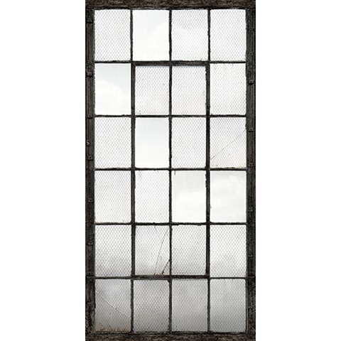 Warehouse Windows