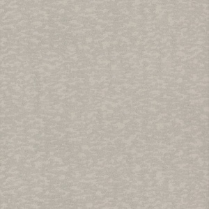 Weathered Cypress Wallpaper